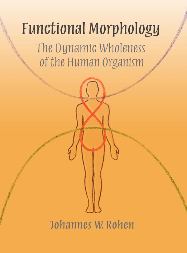 Image for <B>Functional Morphology </B><I> The Dynamic Wholeness of the Human Organism</I>
