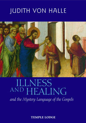 Image for <B>Illness and Healing and the Mystery Language of the Gospels </B><I> </I>