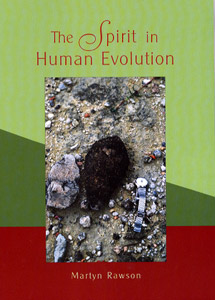 Image for <B>Spirit in Human Evolution, The </B><I> </I>