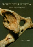 Image for <B>Secrets of the Skeleton: Form in Metamorphosis </B><I> </I>