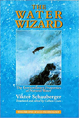 Image for <B>Water Wizard </B><I> The extraordinary properties of natural water.</I>