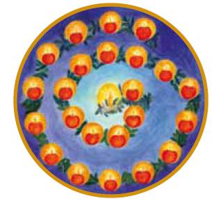 Image for <B>A029 Advent Garden Advent Calendar </B><I> </I>