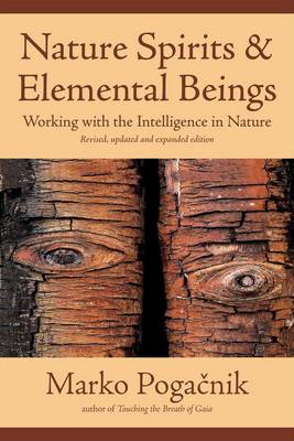 Image for <B>Nature Spirits and Elemental Beings </B><I> Working with the Intelligence in Nature</I>