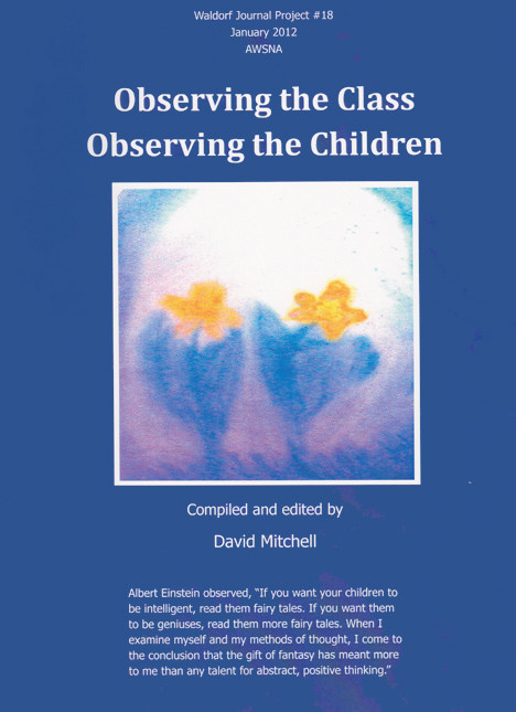 Image for <B>Observing the Class, Observing the Children </B><I> Waldorf journal Project #18</I>