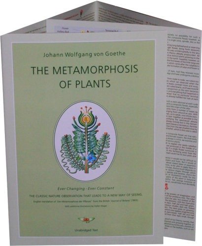<B>Metamorphosis of Plants, The </B><I> </I> Image for <B>Metamorphosis of Plants, The </B><I> </I>