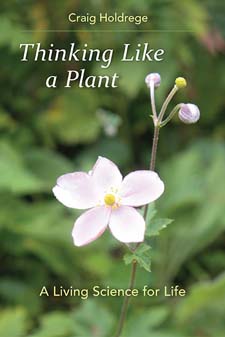 Image for <B>Thinking Like a Plant </B><I> A Living Science for Life</I>