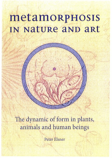 Image for <B>Metamorphosis in Nature and Art </B><I> The Dynamics of Form In Plants, Animals and Human Beings</I>