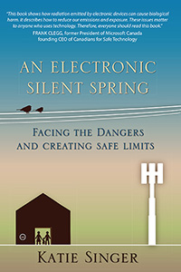 Image for <B>Electronic Silent Spring, An </B><I> Facing the Dangers and Creating Safe Limits</I>