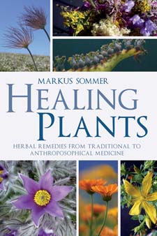 Image for <B>Healing Plants </B><I> Herbal Remedies from Traditional to Anthroposophical Medicine</I>