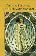 Image for <B>Spirit as Sculptor of the Human Organism </B><I> </I>