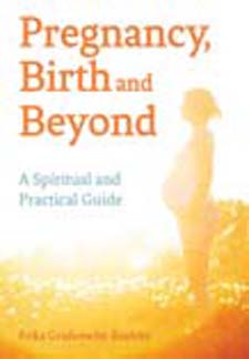 Image for <B>Pregnancy, Birth and Beyond </B><I> A Spiritual and Practical Guide</I>