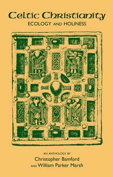 Image for <B>Celtic Christianity: Ecology and Holiness </B><I> </I>