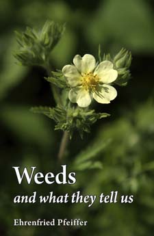 Image for <B>Weeds and What They Tell Us </B><I> </I>