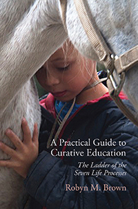 Image for <B>Practical Guide to Curative Education </B><I> The Ladder of the Seven Life Processes</I>