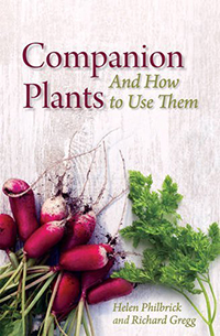 Image for <B>Companion Plants </B><I> and How to Use Them</I>