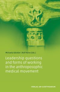 Image for <B>Leadership questions and forms of working in the anthroposophic medical movement </B><I> </I>