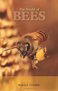 Image for <B>World of Bees </B><I> </I>