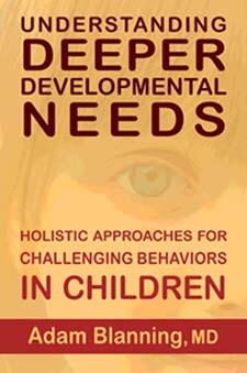 Image for <B>Understanding Deeper Developmental Needs </B><I> Holistic Approaches for Challenging Behaviors in Children</I>