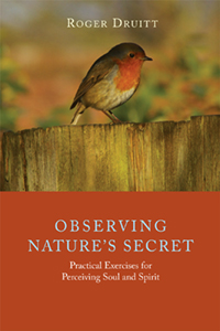 Image for <B>Observing Nature's Secret </B><I> Practical Exercises for Perceiving Soul and Spirit</I>