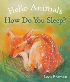 Image for <B>Hello Animals, How Do You Sleep? </B><I> </I>
