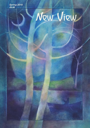 Image for <B>New View Issue 91 Spring 2019 </B><I> </I>