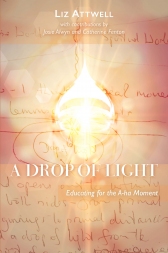 Image for <B>Drop of Light </B><I> Educating for the A-ha Moment</I>