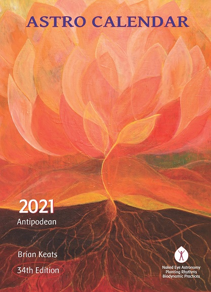 Image for <B>Antipodean Astro Calendar 2021 </B><I> </I>