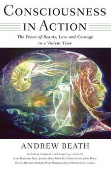 Image for <B>Consciousness in Action </B><I> The Power of Beauty, Love, and Courage in a Violent Time</I>