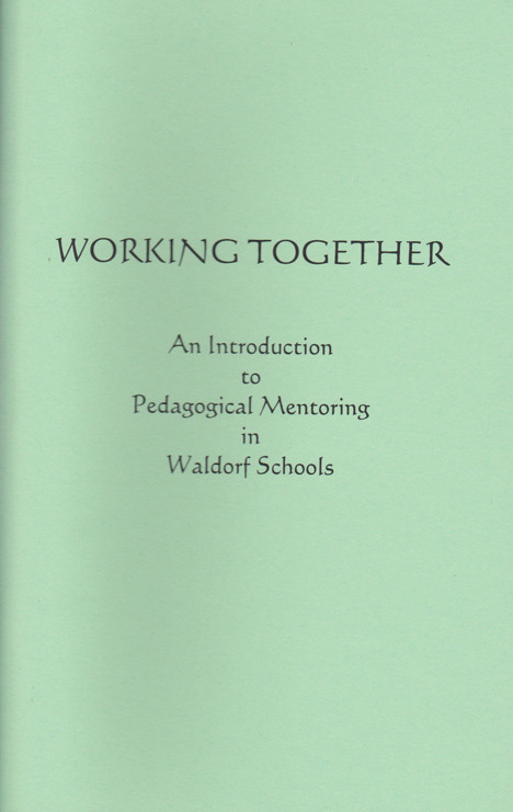 Image for <B>Working Together: An Introduction to Pedagogical Mentoring </B><I> </I>
