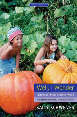 Image for <B>Well I Wonder </B><I> Childhood in the Modern World, a Handbook for Parents, Teachers and Carers</I>