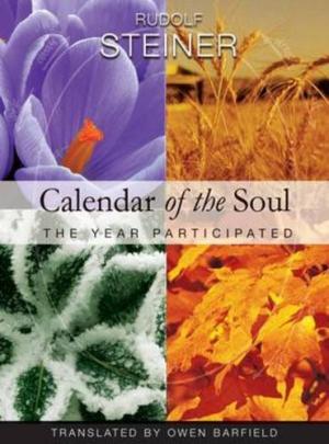 Image for <B>Calendar of the Soul </B><I> The Year Participated</I>