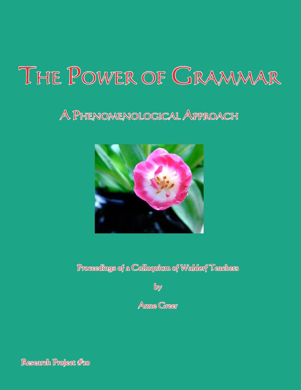 Image for <B>Power of Grammar, The </B><I> A phenomenological approach</I>