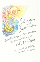 Image for <B>Sub-Nature and Super-Nature </B><I> The True Foundations of Nutrition</I>