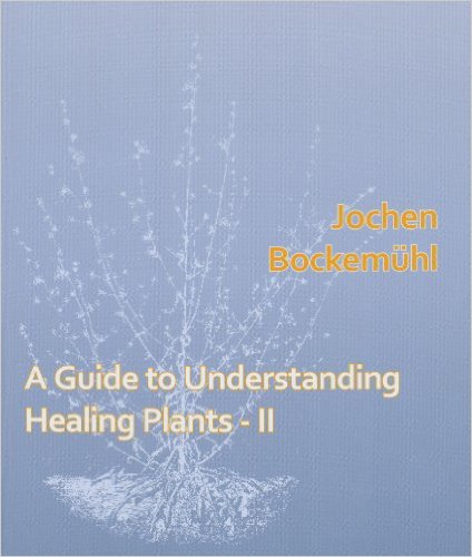 Image for <B>Guide to Understanding Healing Plants, A - Volume II </B><I> </I>