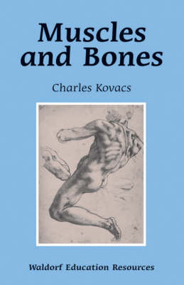 Image for <B>Muscles and Bones </B><I> </I>